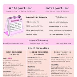 ob - maternity antepartum & intrapartum 2024 | nursing bundle | pdf file | pages 5