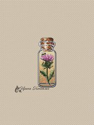 thistle cross stitch pattern, bottle cross stitch, summer cross stitch pattern, modern cross stitch pattern in pdf