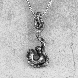 silver snake necklace. stainless steel snake pendant. viper necklace. curly snake. medusa pendant. snake jewelry. gift