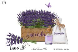 lavender clipart set