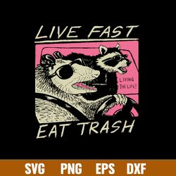 live fast eat trash svg, thrash panda svg, funny animal svg, png dxf eps file