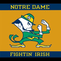 notre dame fighting irish 20oz straight skinny sublimation tumbler