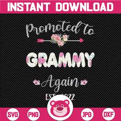 promoted to grammy again 2022 png, mother's day baby announcement png, grammy again est 2022 png