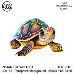 cute turtle clipart. sea turtle sublimation clipart. ocean turtle clip art. hand drawn graphics. digital download.