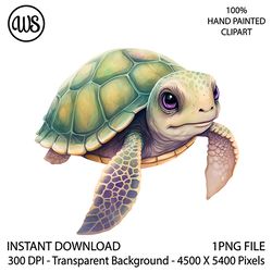 cute turtle clipart. sea turtle sublimation clipart. ocean turtle clip art. hand drawn graphics. digital download.