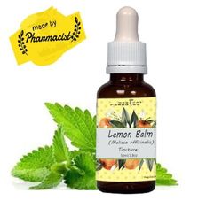 lemon balm (fresh organic plant) tincture, melissa officinalis .calming and relaxing formula.