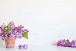 wall art background, lilac background, flower mockup, wall background, empty wall mockup, photo lilac, wall mockup, jpg