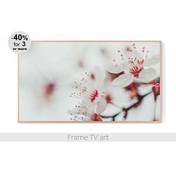 frame tv art spring blossom, frame tv art landscape, frame tv art flowers, samsung frame tv art download | 490