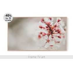 frame tv art flowers, frame tv art spring, frame tv art botanical, samsung frame tv art digital download 4k | 491