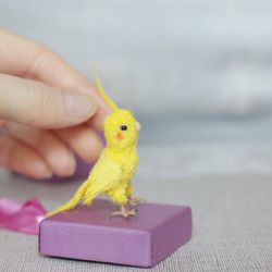 miniature yellow cockatoo, micro parrot, custom pet portrait from photo, dollhouse pet