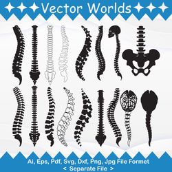 anatomy spine svg, anatomy spines svg, anatomy svg, spine, man, svg, ai, pdf, eps, svg, dxf, png