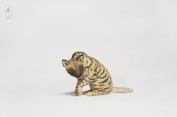 sitting striped hyena