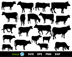 cow svg cut file