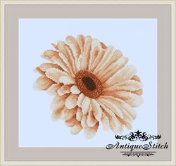 african daisy 78 vintage cross stitch pattern pdf garden flowers embroidery compatible pattern keeper