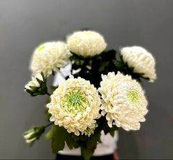 chrysanthemum lamp.