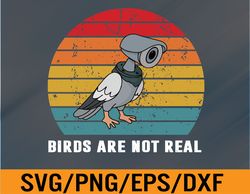 birds are not real retro funny conspiracy birds are not real svg, eps, png, dxf, digital download