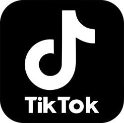 tiktok svg, tiktok svg, tik tok logo, layered logos, tiktok font, funny tiktok svg, printable tiktok svg