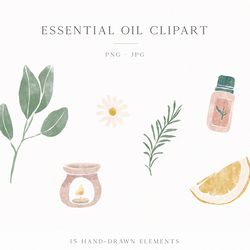 essential oil clipart - natural clipart - wellness clipart - spa illustration - apothecary clipart