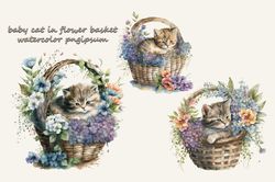 baby cat in flower basket watercolor png