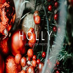 seasons bundle 50 lightroom presets for desktop and mobile, fall and winter preset bundle, holiday lifestyle photography