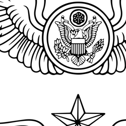 air force enlisted aircrew wings black white vector outline or line art file for cnc laser cutting, wood, metal engravin