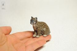 puma couguar kitten cub