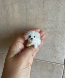 Miniature maltese dog mini maltipoo toy ooak puppy doll pet friend custom dog figurine dollhouse miniatures handmade