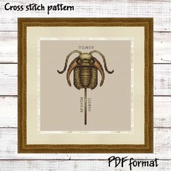 trilobite fossil cross stitch pattern pdf, paleontology cross stitch pattern modern, fossil decor pattern