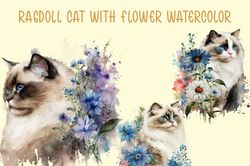 ragdoll cat with flower watercolor, ragdoll cat, animal lover png