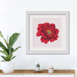 red peony flower