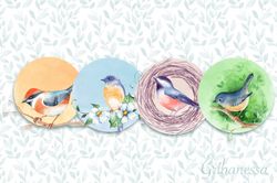 watercolor birds, png illustrations