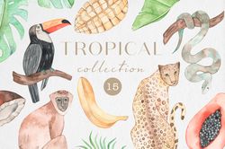 watercolor tropical clipart / tropical leaves collection / tropical wild animals / tropical fruits / png