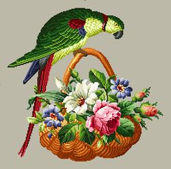 a112 green parrot on a basket