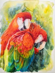 original scarlet macaw parrots watercolor painting, red birds portrait cute art