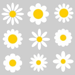 daisy flowers collection. svg, png files. daisy clipart. spring daisy flowers. digital download.