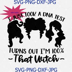 i just took a dna test turns out im 100 that witch sanderson sisters hocus pocus svg png cameo silhouette cutting file