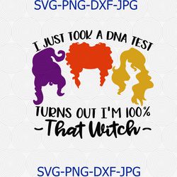 i just took a dna test turns out i'm 100 that witch sanderson sisters hocus pocus svg png cameo silhouette cutting file