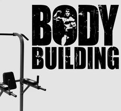 body building gym fitness coach sport muscles crossfit workout arnold schwarzenegger wall sticker vinyl decal mural art