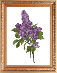 cross stitch pattern | lilac embroidery | floral embroidery | | vintage cross stitch pattern | pdf template