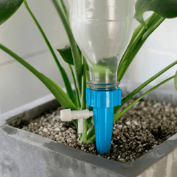 plant watering spikes with adjustable valve