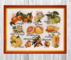 cross stitch pattern citrus sampler | kitchen embroidery | fruit embroidery pattern | simple scheme | pdf