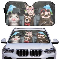 car auto sun shade