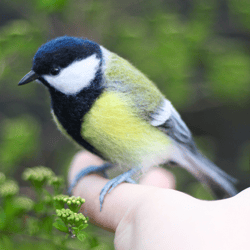 felted bird tit felt realistic toy interior art doll needle felting animal