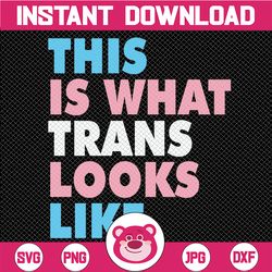 This is what the trans look like SVG, LGBT Pride Svg, Lesbian Pride svg, gay pride svg, cricut file, clipart, svg, png,