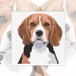 beagle dog