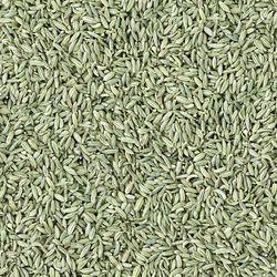 fennel seeds seamless tileable repeating pattern