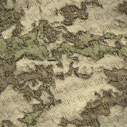 We The People 22 Camouflage Seamless Tileable Repeating Pattern