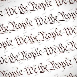 we the people 24 seamless tileable repeating pattern