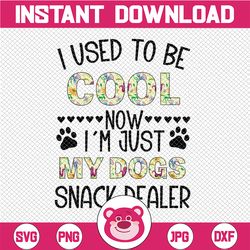 I Used To Be Cool Now I'm Just My Dogs Snack Dealer, Dog Lover Gift PNG File