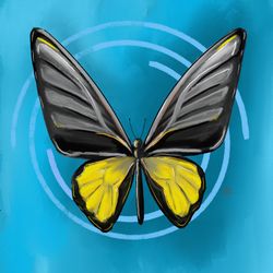 yellow butterfly with blue background  art print original painting wall decor